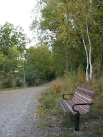 CIMG4997 - Höstpromenad i Kallhäll