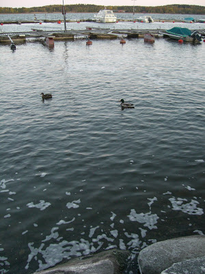 CIMG5050 - Uppiggande morgonpromenad