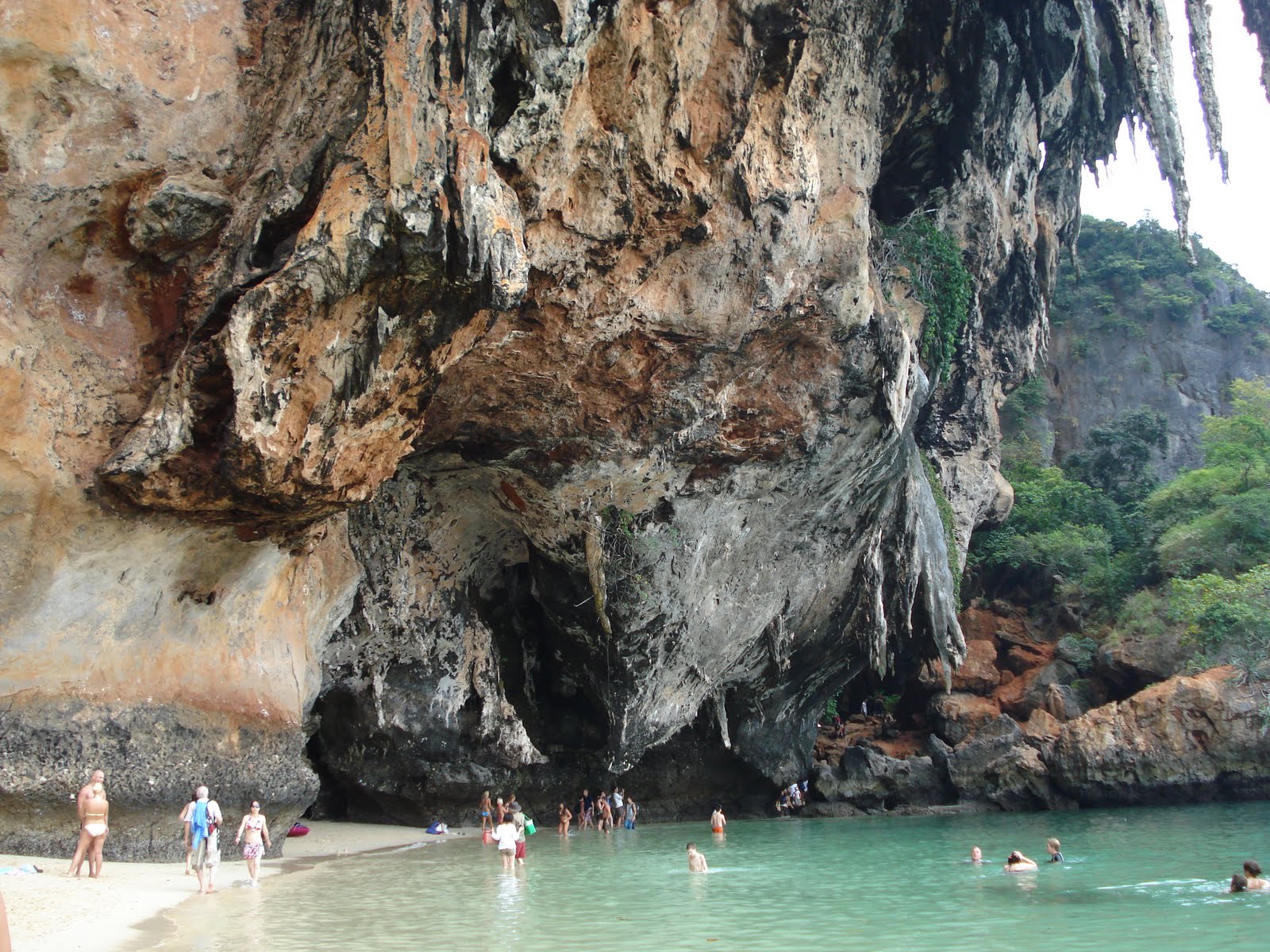 [mixture+picture+March2009+015.jpg]