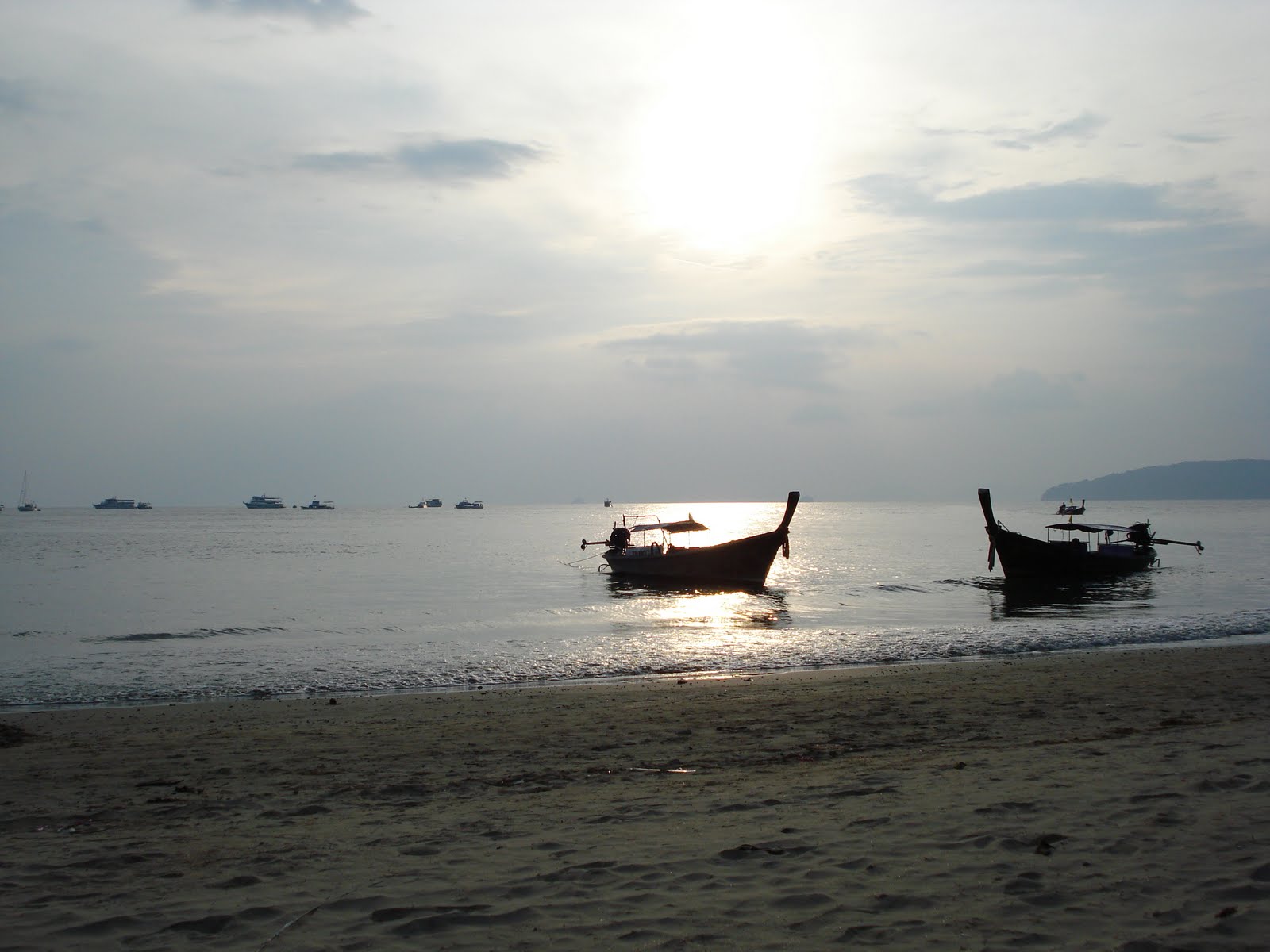 [mixture+picture+March2009+018.jpg]