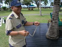 CIMG5766 - Farliga djur på Borneo