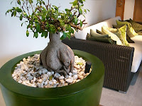 CIMG5994 - Spa på Sankt Jörgen Park Resort