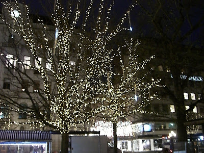 CIMG6262 - Stockholm i julpyntad skrud