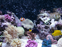 CIMG6119 - Trevlig tjejmiddag hos Anne