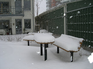 CIMG6389 - Idag har det snöat nästan hela dagen