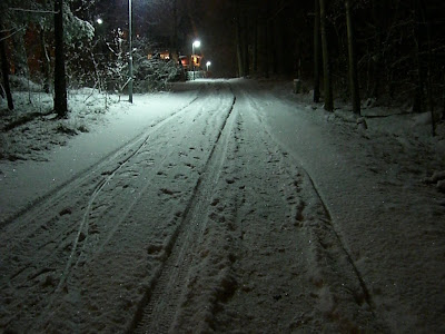 CIMG6344 - Mycket snö och långkalsonger