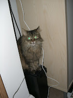 Joda+radd - Så här blev min nyårsafton 2009-2010