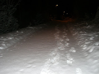 CIMG6430 - Pulspromenad i snö