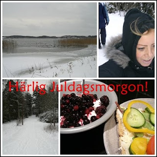 skogen2 - Promenad i den snöiga skogen