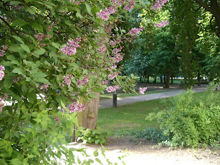 CIMG8508 - Solig träningsmorgon med gång och jogg