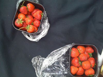 jordgubbar+001 - Ska jag bli utan jordgubbe i midsommar?