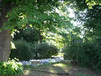 CIMG8577 - Solig morgon och hård konditionsträning