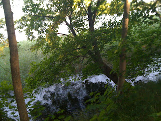 morgonpromenad+002 - Måndag morgon med skön powerwalk
