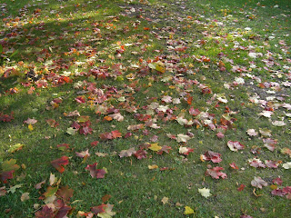 H%C3%B6stl%C3%B6v+p%C3%A5+marken - Så undviker du en höstdepression