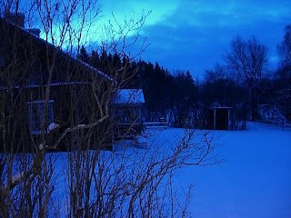 Vinterpromenad%2Bhemma%2B3 - Härlig morgonpromenad på hemmaplan