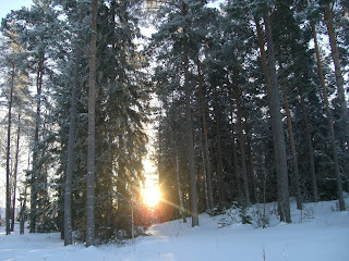 Vacker%2Bny%25C3%25A5rsafton%2B6%2B%25281%2529 - En solig nyårsafton