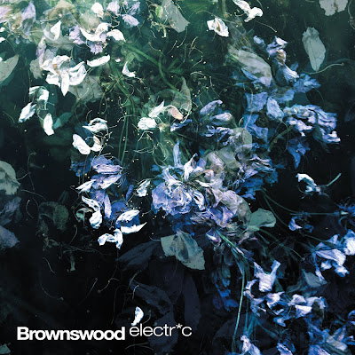 BrownswoodElectric_1000px_RGB.jpg