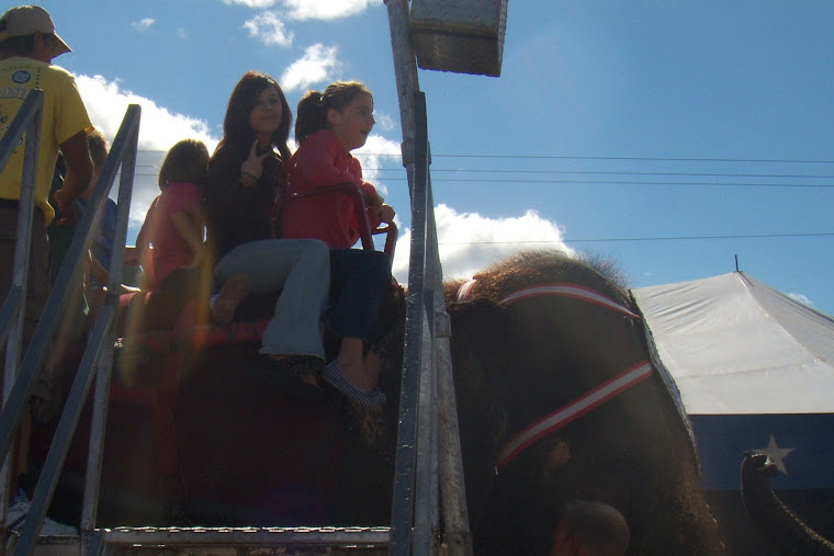 me and my cuz at da circus riden an elephant