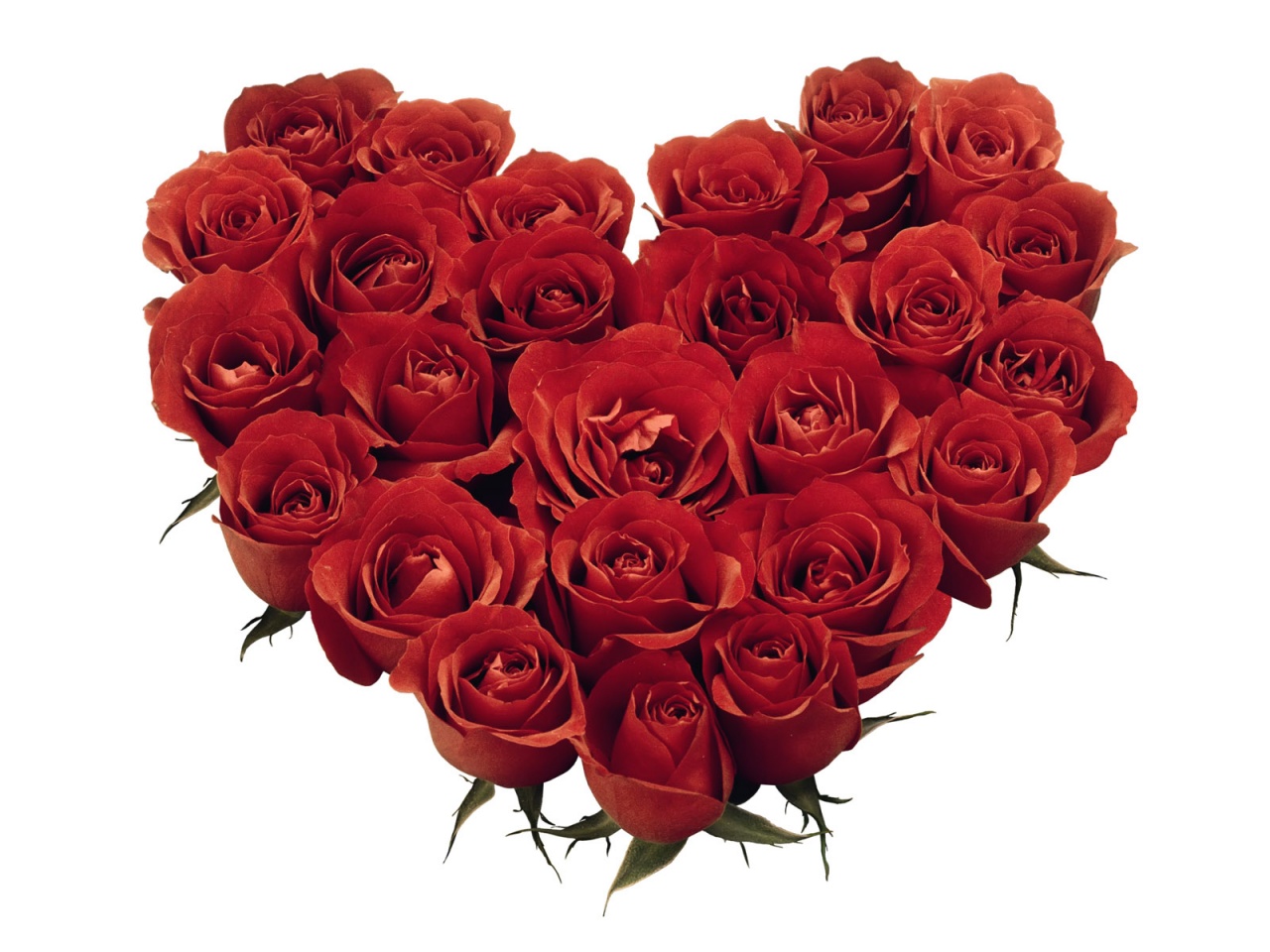 [Red%20Roses%20Heart-839609.jpg]