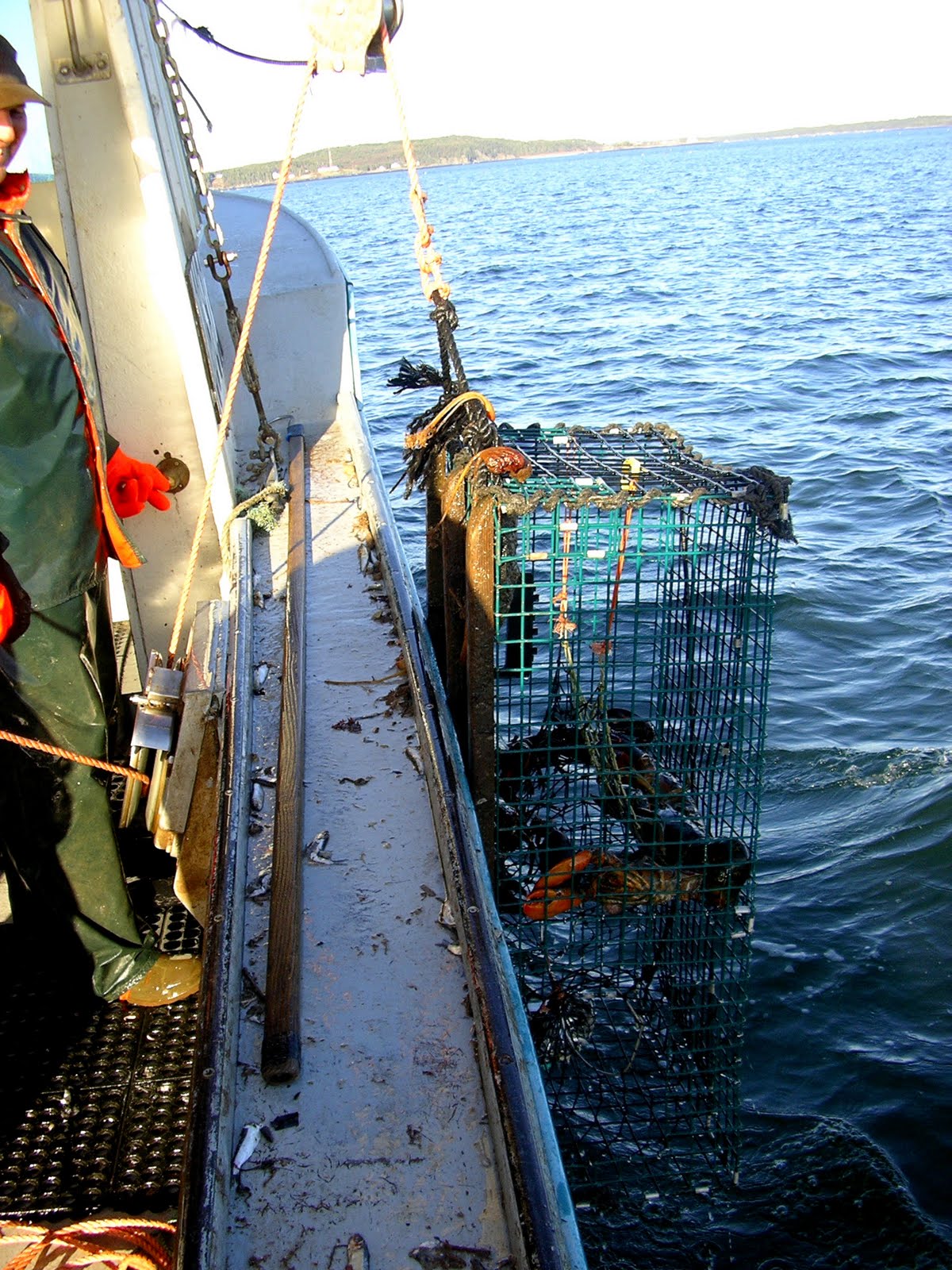 Living in New Brunswick Lobster Fishing