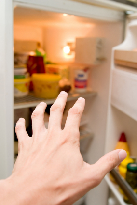 [milk+refrig.jpg]