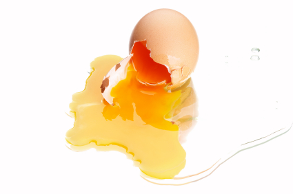 [broken+egg.jpg]