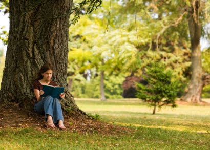 [shade+tree.jpg]