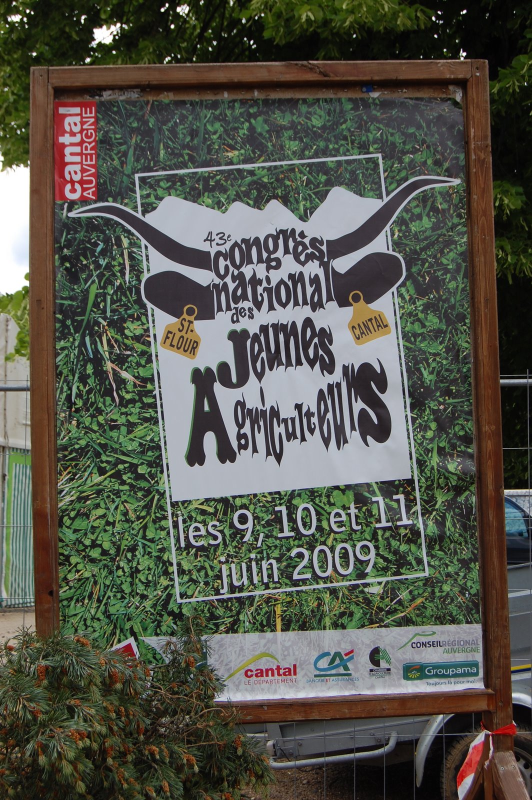[DSC_0020.JPG]