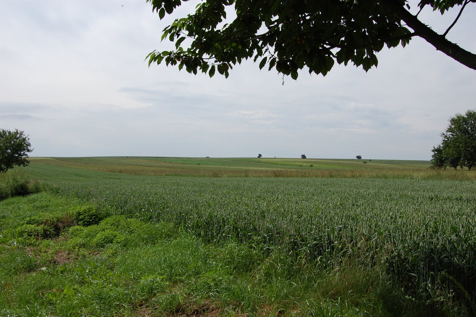 [DSC_0114.JPG]