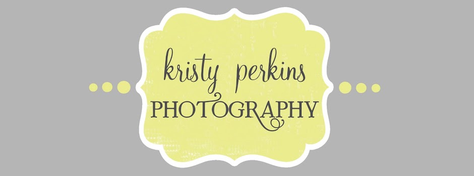Kristy Perkins Photography