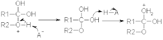 Chemistry: Fischer esterification mechanism