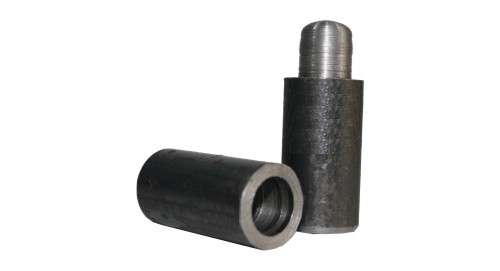 Regio Protectores: Regio Protectores, tipo de bisagra utilizada en