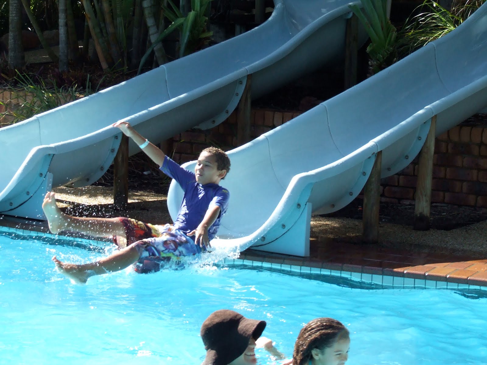 three little trees camping at yamba