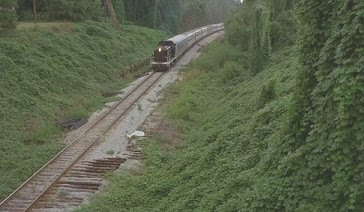 Still From Jarmusch Film, Mystery Train