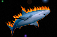 Strategic Sourcing with Firesharks
