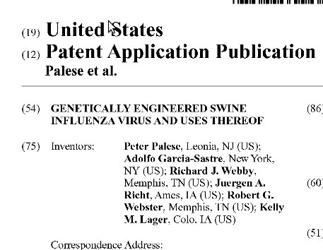[patente.jpg]