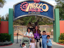 2008 Enero 25 - Mexico Magico
