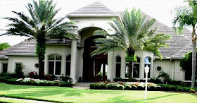 Native Home Garden Design: Palm Tree Landscaping Ideas