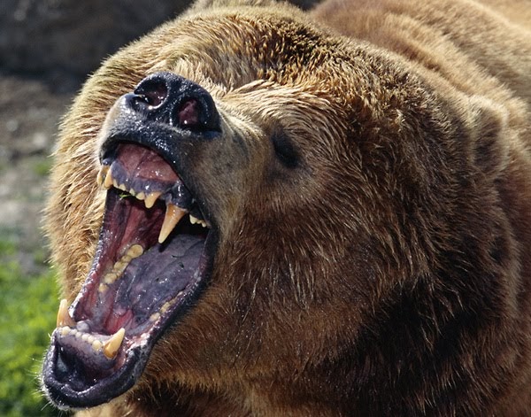 Kuuma teini babe pillua