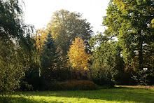 De Eik garden in autumn