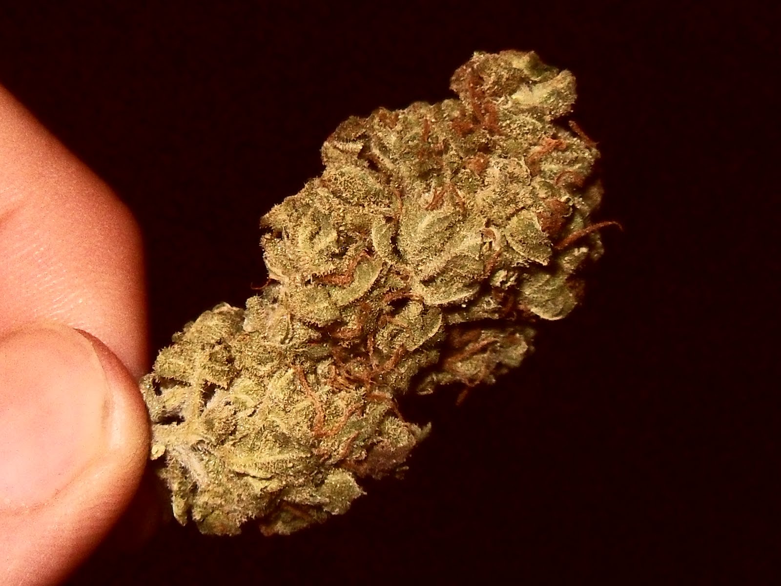 The Herban Legend Bubble Gum X Ak47