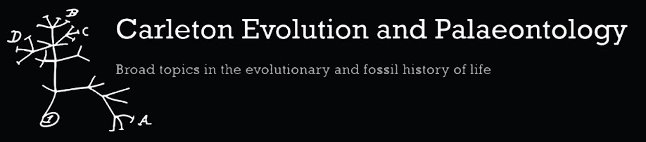 Carleton Evolution and Palaeontology