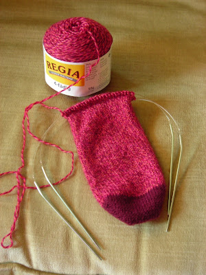Regia sock