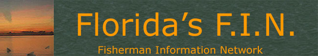 Florida fishing guides, fishing reports, saltwater boat ramp maps