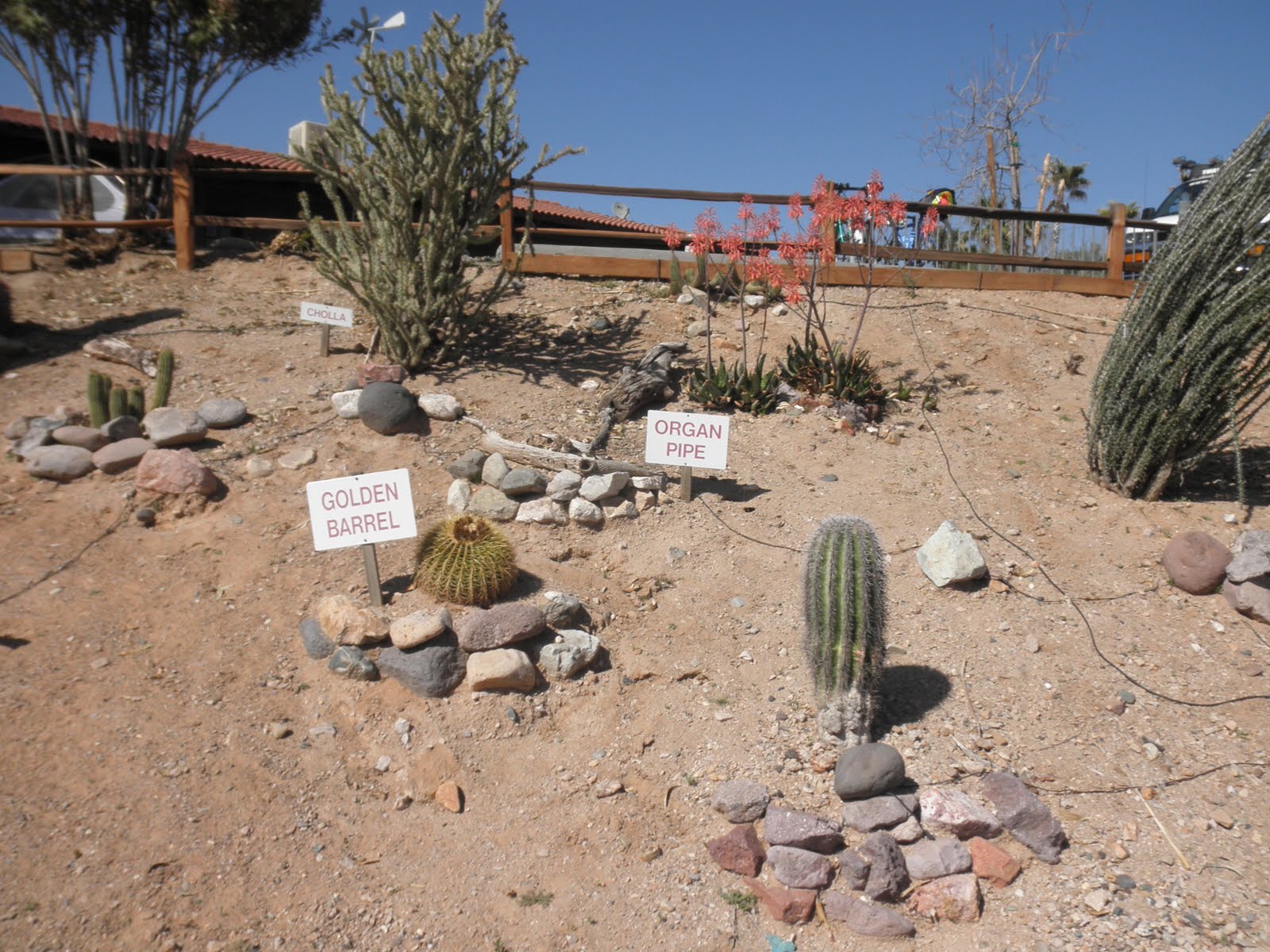 Bruce's TransAm bike ride spring 2010 Day 7, Mar 28 Salome, AZ to