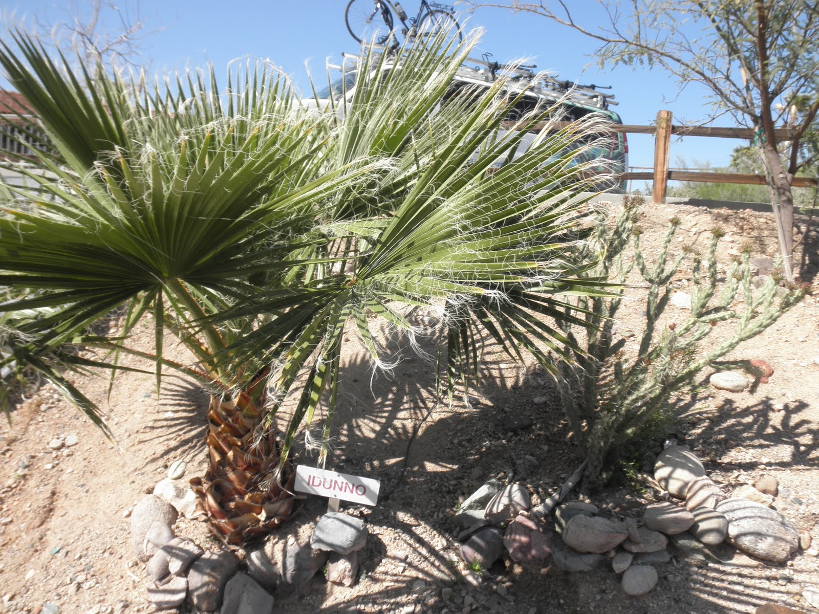 Bruce's TransAm bike ride spring 2010 Day 7, Mar 28 Salome, AZ to