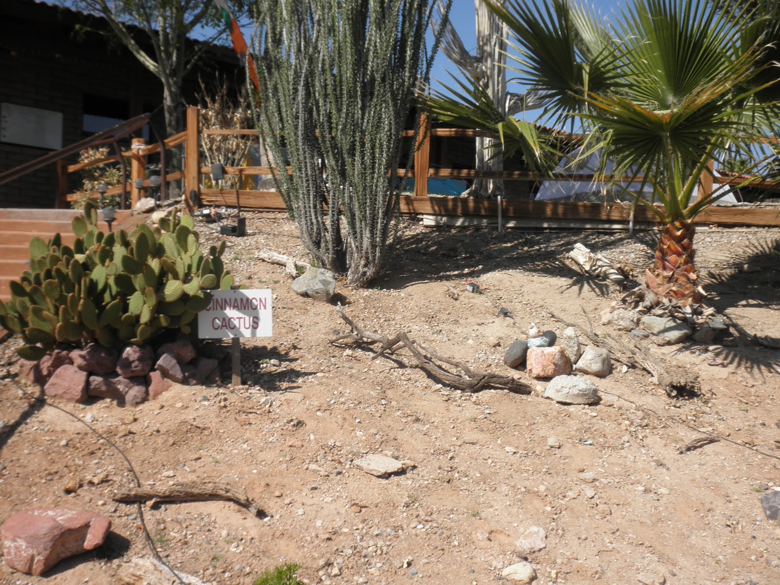 Bruce's TransAm bike ride spring 2010 Day 7, Mar 28 Salome, AZ to