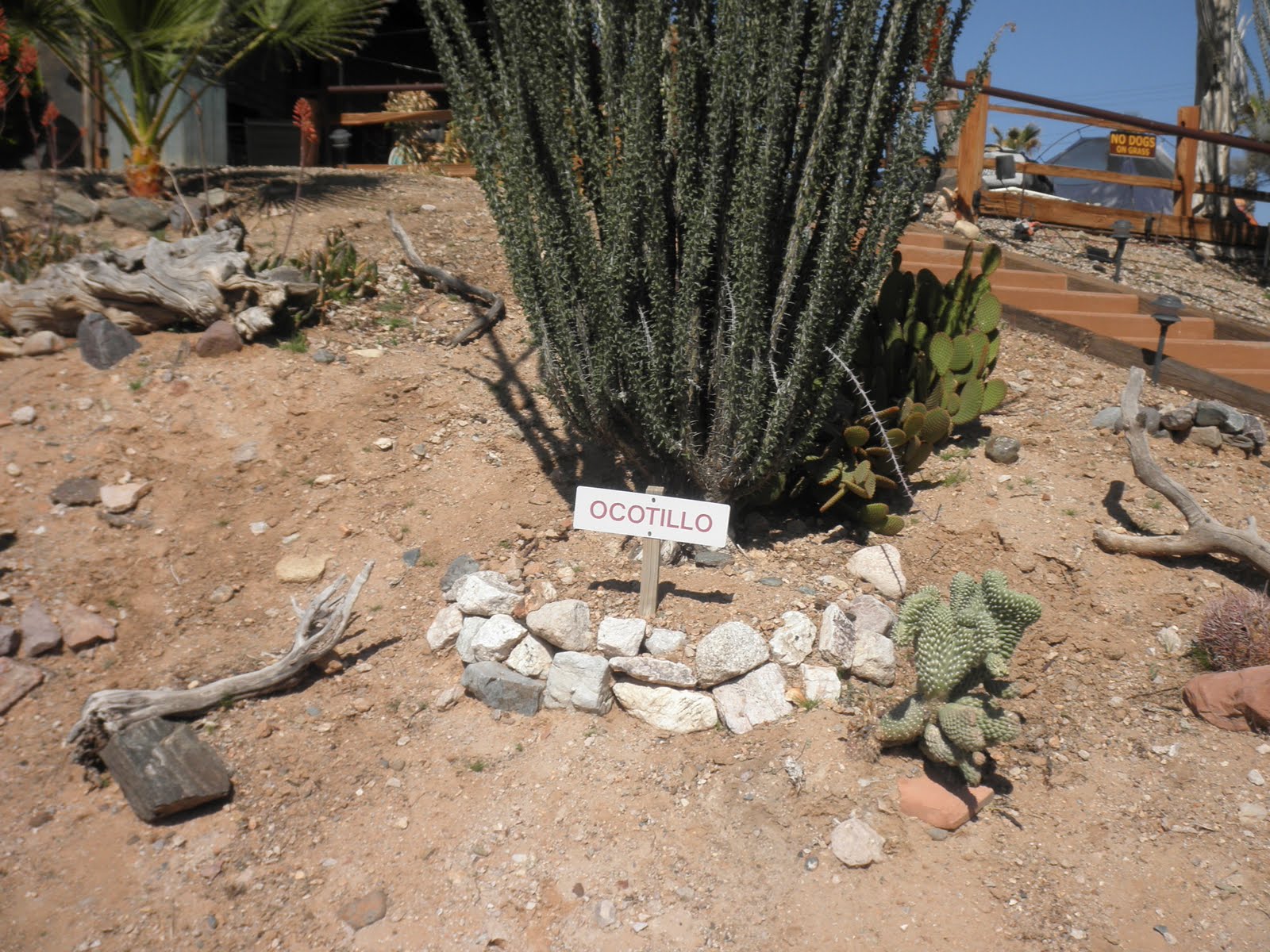 Bruce's TransAm bike ride spring 2010 Day 7, Mar 28 Salome, AZ to