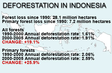 [deforestation-in-indonesia.jpg]