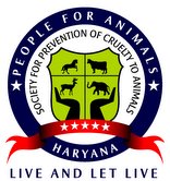 Naresh Kadyan needs  volunteer for animal rights